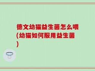 德文幼猫益生菌怎么喂(幼猫如何服用益生菌)