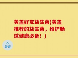 黄盖好友益生菌(黄盖推荐的益生菌，维护肠道健康必备！)