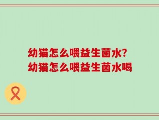 幼猫怎么喂益生菌水？幼猫怎么喂益生菌水喝