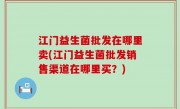 江门益生菌批发在哪里卖(江门益生菌批发销售渠道在哪里买？)