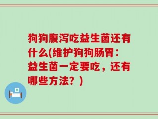 狗狗腹泻吃益生菌还有什么(维护狗狗肠胃：益生菌一定要吃，还有哪些方法？)