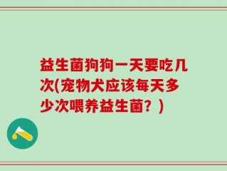 益生菌狗狗一天要吃几次(宠物犬应该每天多少次喂养益生菌？)