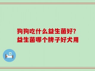 狗狗吃什么益生菌好？益生菌哪个牌子好犬用