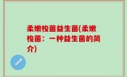 柔嫩梭菌益生菌(柔嫩梭菌：一种益生菌的简介)