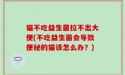 猫不吃益生菌拉不出大便(不吃益生菌会导致便秘的猫该怎么办？)