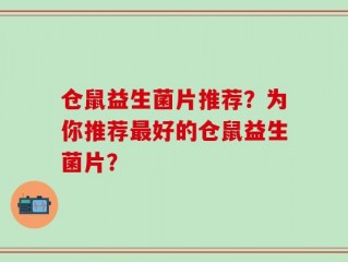 仓鼠益生菌片推荐？为你推荐最好的仓鼠益生菌片？