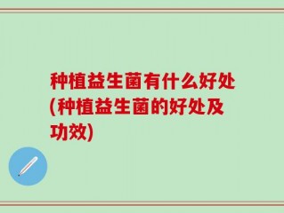 种植益生菌有什么好处(种植益生菌的好处及功效)