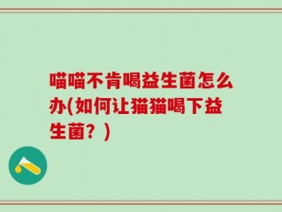喵喵不肯喝益生菌怎么办(如何让猫猫喝下益生菌？)