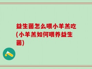 益生菌怎么喂小羊羔吃(小羊羔如何喂养益生菌)