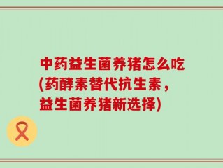 中药益生菌养猪怎么吃(药酵素替代抗生素，益生菌养猪新选择)
