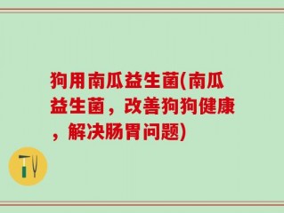 狗用南瓜益生菌(南瓜益生菌，改善狗狗健康，解决肠胃问题)