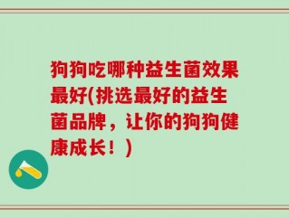 狗狗吃哪种益生菌效果最好(挑选最好的益生菌品牌，让你的狗狗健康成长！)