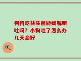 狗狗吃益生菌能缓解呕吐吗？小狗吐了怎么办几天会好