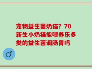 宠物益生菌奶猫？70新生小奶猫能喂养乐多类的益生菌调肠胃吗