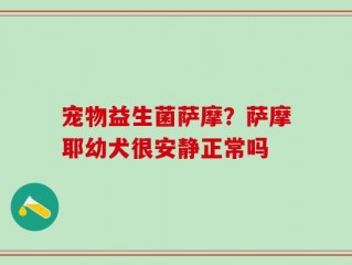 宠物益生菌萨摩？萨摩耶幼犬很安静正常吗