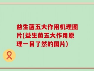 益生菌五大作用机理图片(益生菌五大作用原理一目了然的图片)