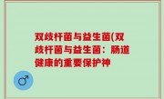 双歧杆菌与益生菌(双歧杆菌与益生菌：肠道健康的重要保护神