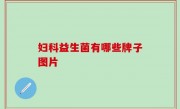 妇科益生菌有哪些牌子图片
