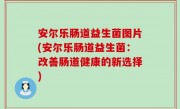 安尔乐肠道益生菌图片(安尔乐肠道益生菌：改善肠道健康的新选择)