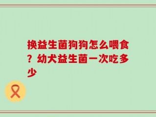 换益生菌狗狗怎么喂食？幼犬益生菌一次吃多少