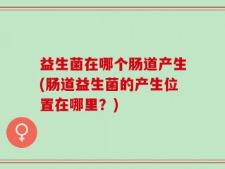 益生菌在哪个肠道产生(肠道益生菌的产生位置在哪里？)
