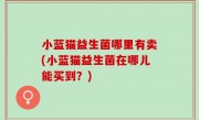 小蓝猫益生菌哪里有卖(小蓝猫益生菌在哪儿能买到？)