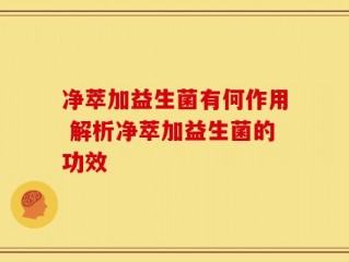 净萃加益生菌有何作用 解析净萃加益生菌的功效