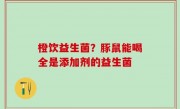 橙饮益生菌？豚鼠能喝全是添加剂的益生菌