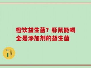 橙饮益生菌？豚鼠能喝全是添加剂的益生菌