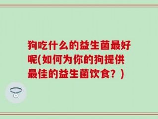 狗吃什么的益生菌最好呢(如何为你的狗提供最佳的益生菌饮食？)