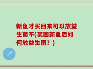 新鱼才买回来可以放益生菌不(买回新鱼后如何放益生菌？)