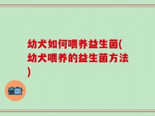 幼犬如何喂养益生菌(幼犬喂养的益生菌方法)