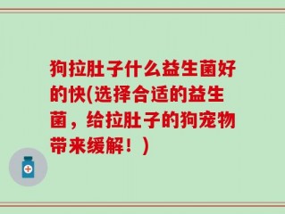 狗拉肚子什么益生菌好的快(选择合适的益生菌，给拉肚子的狗宠物带来缓解！)