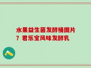 水果益生菌发酵桶图片？君乐宝风味发酵乳