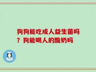 狗狗能吃成人益生菌吗？狗能喝人的酸奶吗