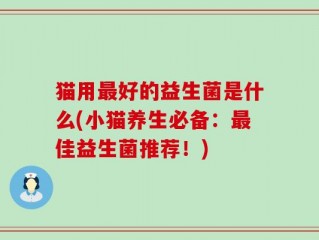 猫用最好的益生菌是什么(小猫养生必备：最佳益生菌推荐！)