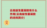 云南益生菌凝胶有什么作用(云南益生菌凝胶的功效简介)