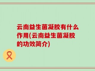 云南益生菌凝胶有什么作用(云南益生菌凝胶的功效简介)
