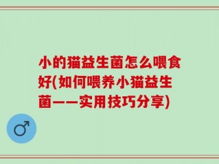 小的猫益生菌怎么喂食好(如何喂养小猫益生菌——实用技巧分享)