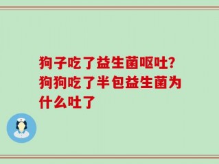 狗子吃了益生菌呕吐？狗狗吃了半包益生菌为什么吐了