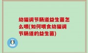幼猫调节肠道益生菌怎么喂(如何喂食幼猫调节肠道的益生菌)