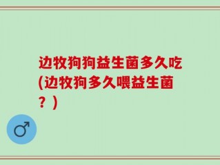 边牧狗狗益生菌多久吃(边牧狗多久喂益生菌？)