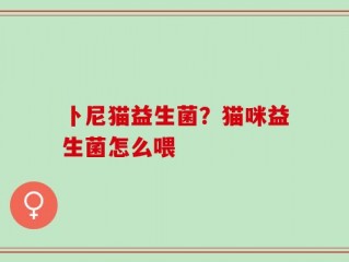 卜尼猫益生菌？猫咪益生菌怎么喂