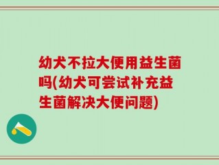 幼犬不拉大便用益生菌吗(幼犬可尝试补充益生菌解决大便问题)