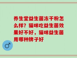 养生堂益生菌冻干粉怎么样？猫咪吃益生菌效果好不好，猫咪益生菌用哪种牌子好