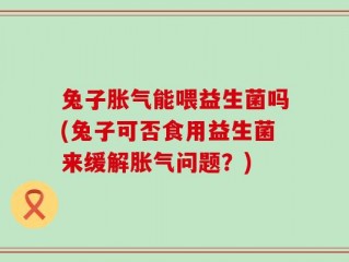 兔子胀气能喂益生菌吗(兔子可否食用益生菌来缓解胀气问题？)