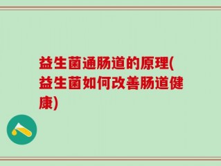 益生菌通肠道的原理(益生菌如何改善肠道健康)