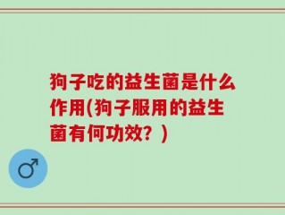狗子吃的益生菌是什么作用(狗子服用的益生菌有何功效？)