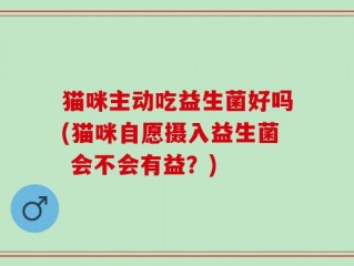 猫咪主动吃益生菌好吗(猫咪自愿摄入益生菌 会不会有益？)