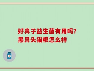 好鼻子益生菌有用吗？黑鼻头猫粮怎么样